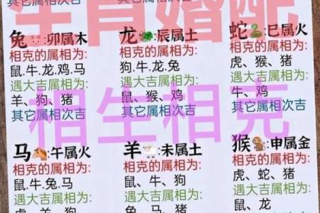 96鼠98年虎婚配穷一辈之婚姻配对解析