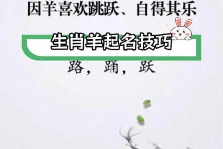 早上出生的属羊男孩应该如何起名，宜用什么字姓名