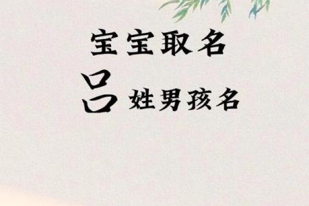 2019年4月2号子时出生的男孩如何起名姓名
