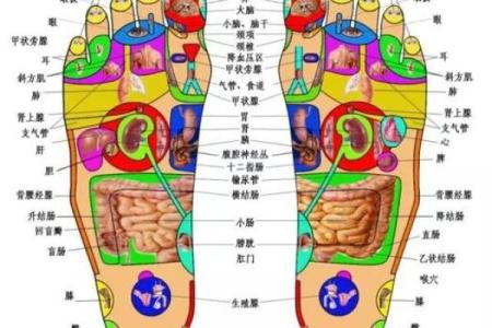 看相算命：你是这种脚相的人吗？