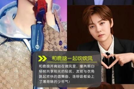 鹿晗姓名契合度配对 鹿晗的名字好听吗？