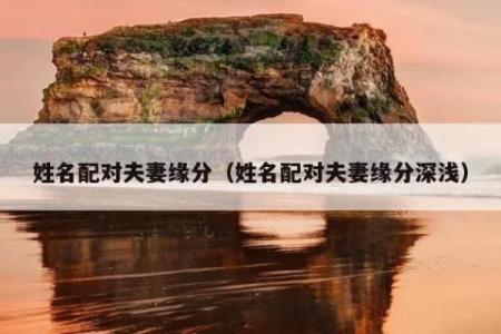 姓名配对费用查询系统 姓名配对费用查询系统官网？