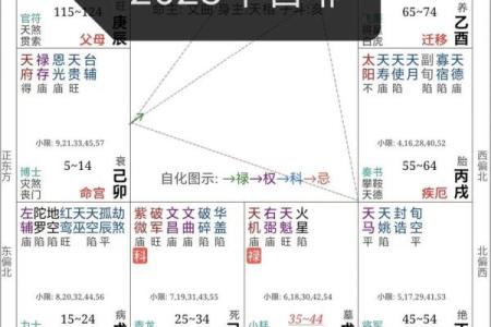 紫薇斗数怎么起流年
