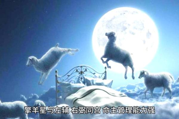 紫薇斗数命宫擎羊陷
