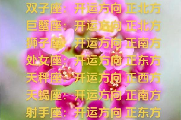 十二星座12月12日运势