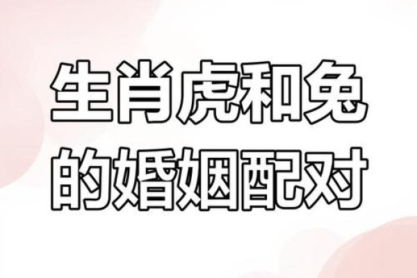 1998女虎婚姻配对 与属马相处融洽生活幸福