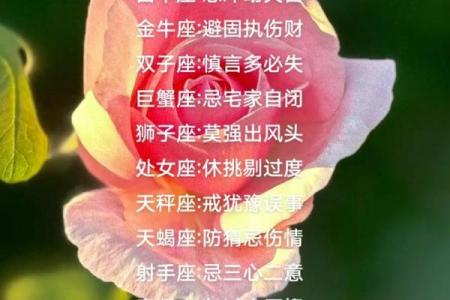 容易固执的星座有哪些