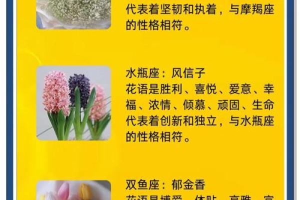 十二星座什么花适合自己
