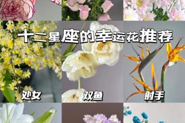 十二星座什么花适合自己