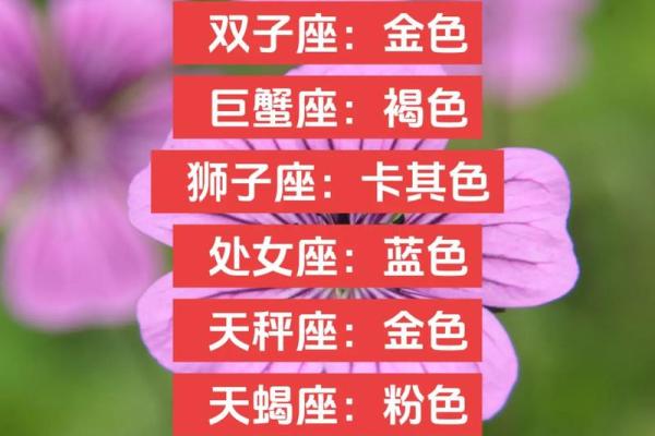 12星座的幸运色