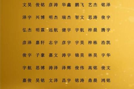 2019年6月23号寅时出生的男孩要怎么起名字姓名