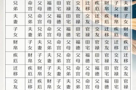 紫薇斗数命宫原理