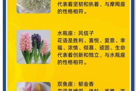 十二星座什么花适合自己