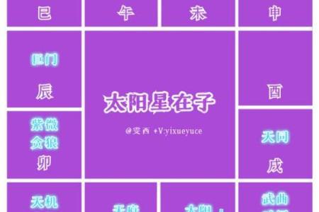 紫色紫微斗数 紫微斗数紫色是什么意思？