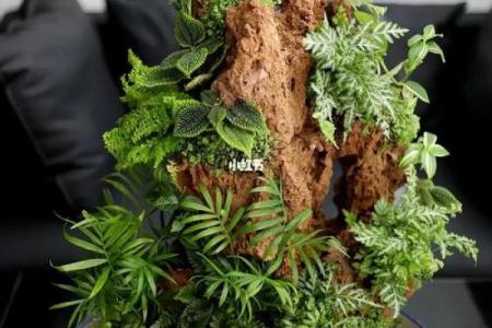 上水石风水究竟有什么风水宜忌呢