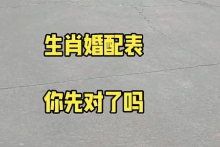 男91年羊和93年女鸡可婚配吗 91年羊男和93年鸡女是否适合婚姻配对