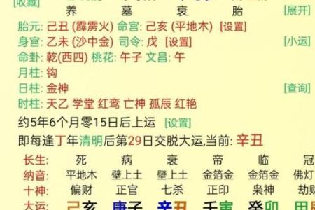八字巳时