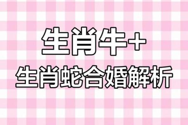 1985属牛的婚姻配对最佳