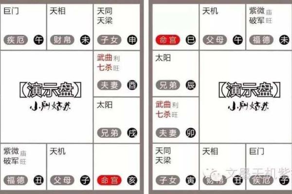 紫微斗数之夫妻宫与诸星，七杀星在夫妻宫是什么意思？
