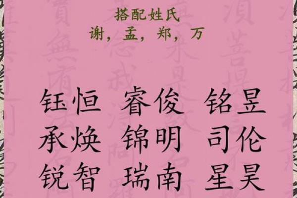 2019年3月30号酉时出生的男孩起名方法姓名