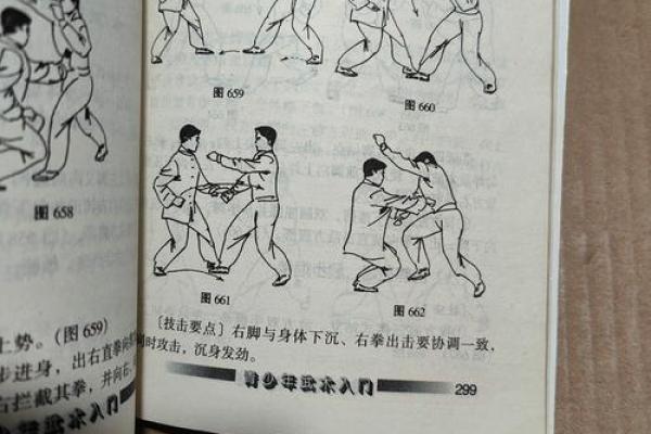 形意门秘传八字连环拳