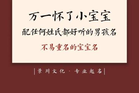 2019年4月24号卯时出生的男孩如何起名姓名