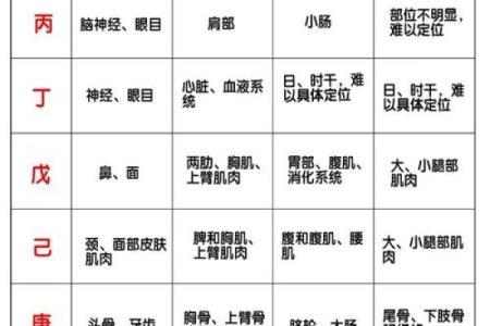 生辰八字终身版