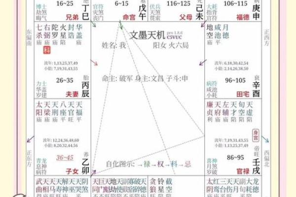 紫薇斗数综合详解