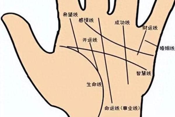 算命的老头看手相吗