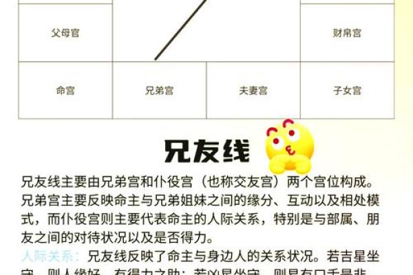 紫薇斗数看网红命格