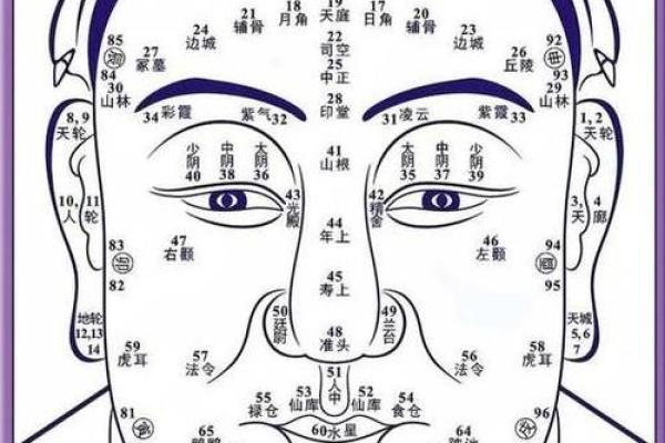 26种面型算命图解