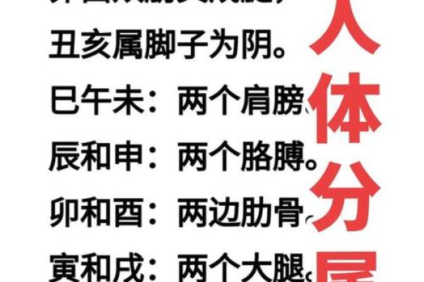 八字弱的人用什么增强