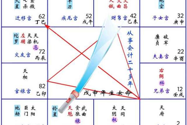 紫薇斗数断盘