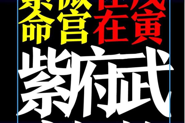 紫薇斗数断盘