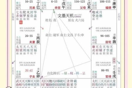 紫薇斗数综合详解