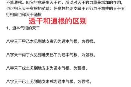 本气通根的日柱有哪些  八字里的本气通根好吗