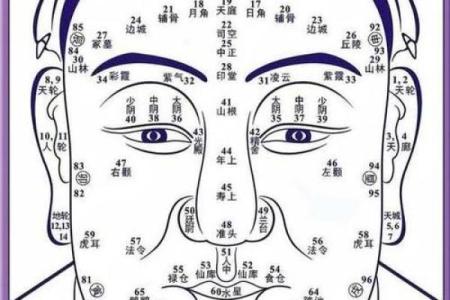 26种面型算命图解