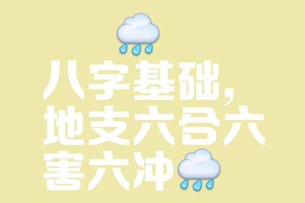 八字巳酉合