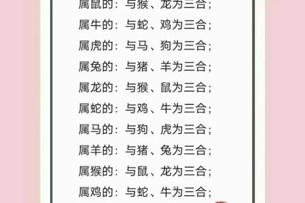 属相配对父子相冲