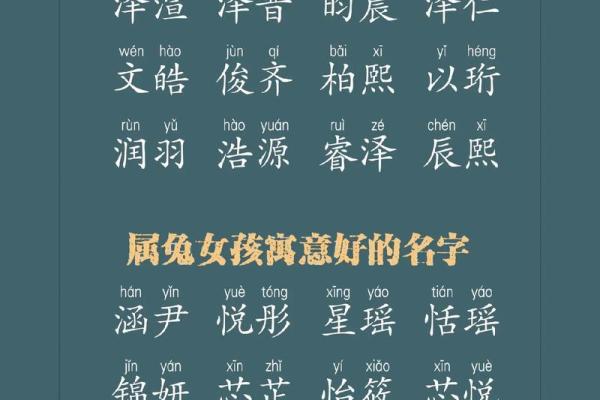 12月份出生的属兔男孩取哪些名字好姓名