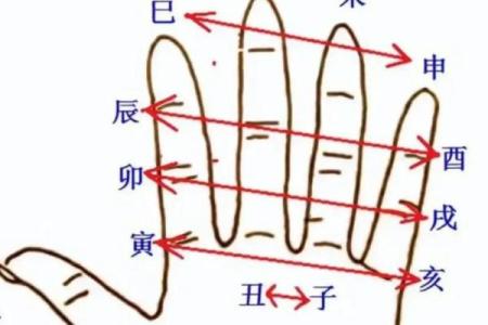 八字巳酉合