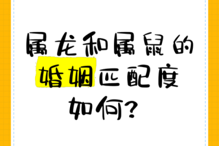 什么样的特质和条件使得婚姻配对互相般配