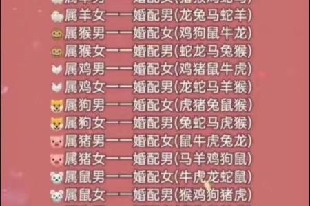 终于有人把“十二生肖夫妻配对表”，整理出了，看看吧，仅供参考
