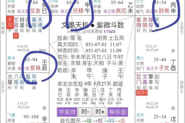 紫微斗数乱国 紫微斗数太准？