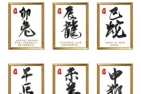 八字软：属相、性格特点、缺点分析及改善方法