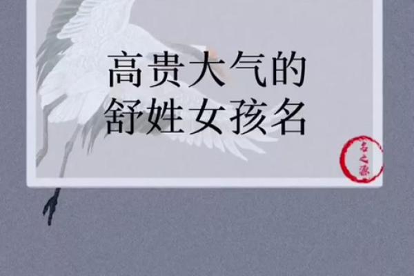 舒姓女孩名字大全-舒姓女孩起名字大全-舒姓名字大全姓名