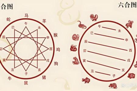 狗配对：十二生肖中，狗座最匹配与不相配的生肖