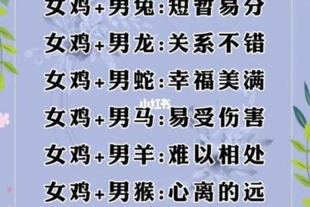 生肖配对姻缘男龙女马 十二生肖男龙女马相配吗？
