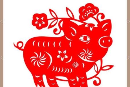 属猪男八字