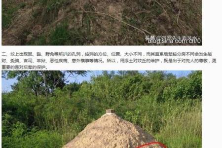 判断怎么样是身上有仙骨的预兆风水